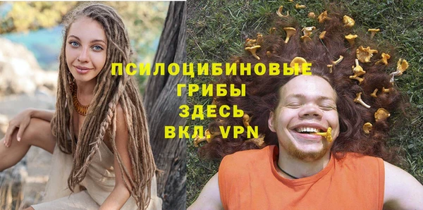 гидропоника Новодвинск