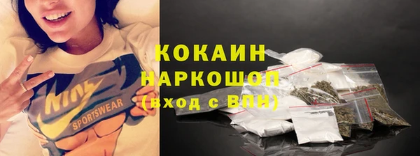 трава Няндома