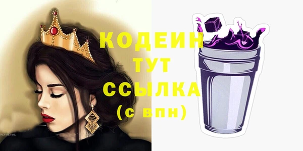 трава Няндома