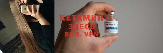 трава Няндома