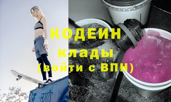 трава Няндома