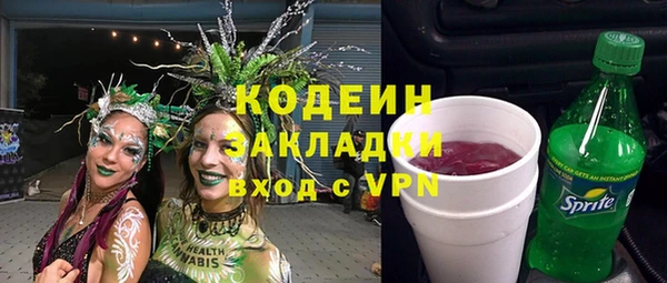 трава Няндома