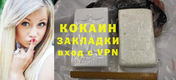трава Няндома
